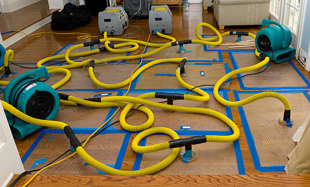 Professional Water Damage Restoration technician working in Stapleton, GA